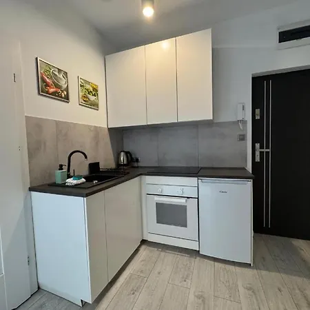 Zabrsaint Mieszkania 5abc Katowice